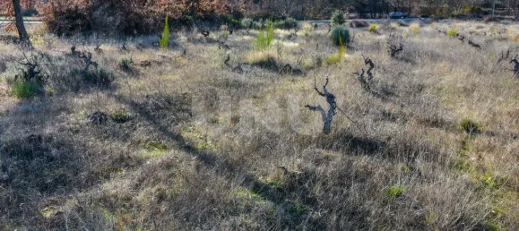 Terrain à Inguias, Portugal No. 76077 5