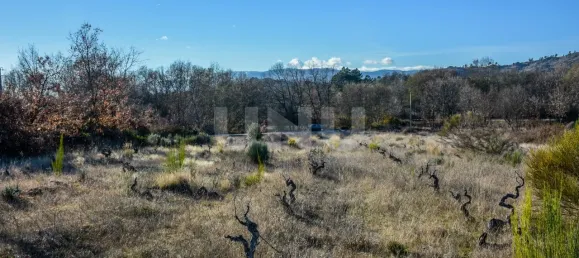 Terrain à Inguias, Portugal No. 76077 2