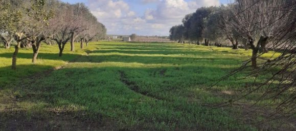 Terreno en Crispiano, Italy No. 315563 25