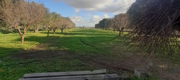 Terreno en Crispiano, Italy No. 315563 10