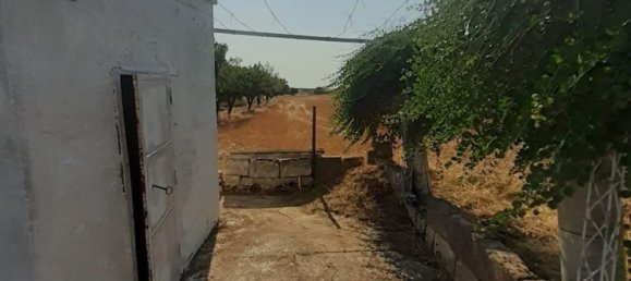 Terreno en Crispiano, Italy No. 315563 14