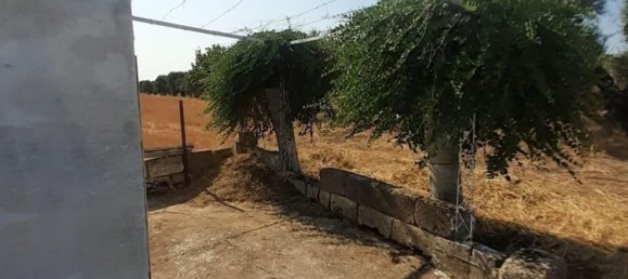 Terreno en Crispiano, Italy No. 315563 8