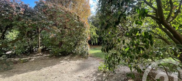 1 chambre Appartement à Nogent-sur-Marne, France No. 165140 6