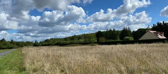 Terreno en Chatillon-sur-Cher, France No. 229182 3