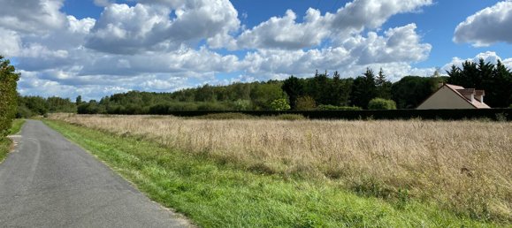 Terreno en Chatillon-sur-Cher, France No. 229182 2