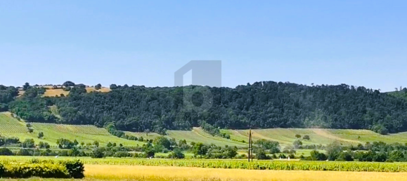 715m² Land in Donnerskirchen, Austria No. 247592 2