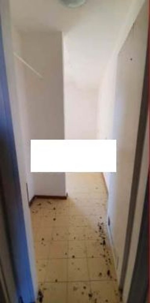 3 rooms Apartment in Palau, Italy No. 138117