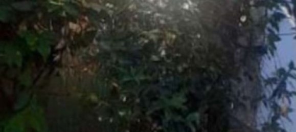 3 rooms Duplex in Anzio, Italy No. 196014 16