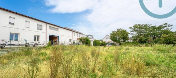 3306m² Land in Eisenstadt Umgebung, Austria No. 166146 8