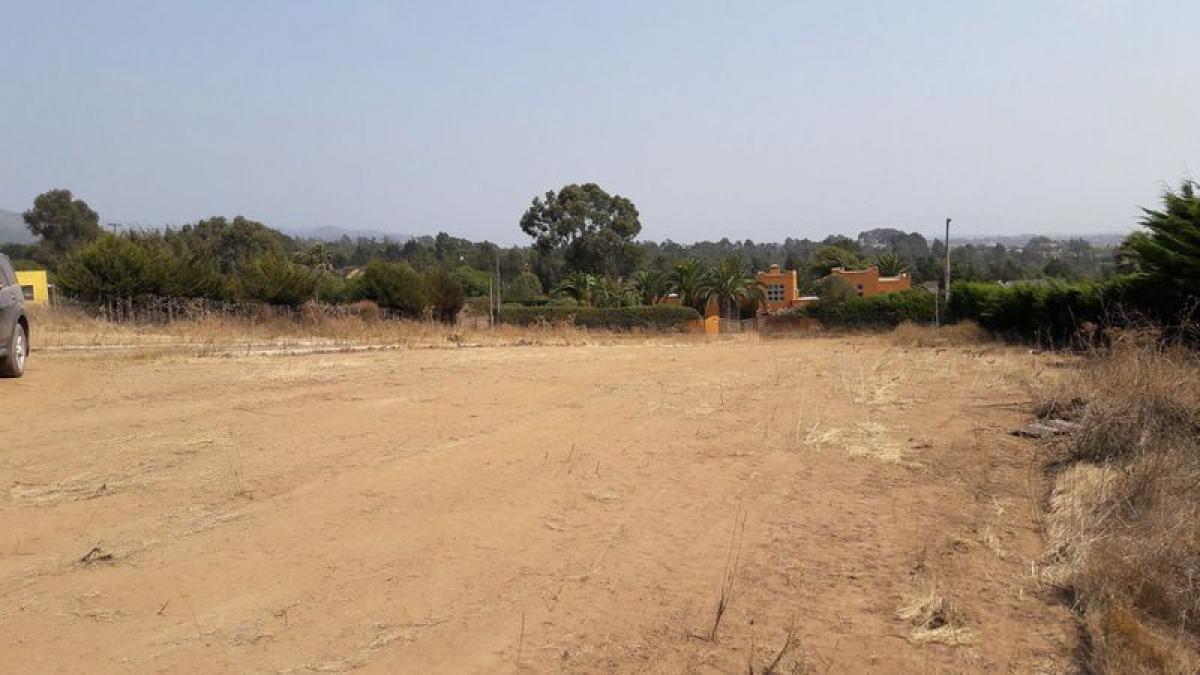  Land in Valparaiso, Chile No. 817