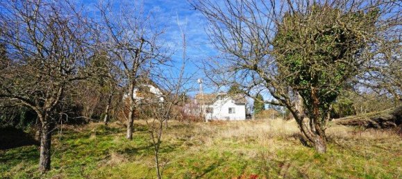 Terrain à Mauerbach, Austria 1879m² No. 66206 3