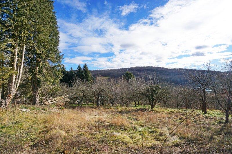 Terrain à Mauerbach, Austria 1879m² No. 66206