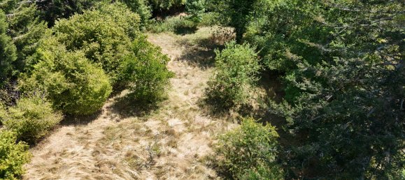 3 bedrooms House in Ambert, France No. 333147 2