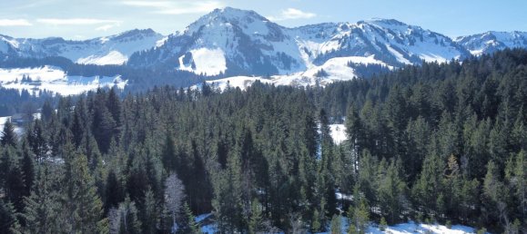 5 rooms House in Egg, Austria No. 141541 31