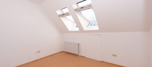 392m² Commercial property in Frauental an der Lassnitz, Austria No. 132908 18