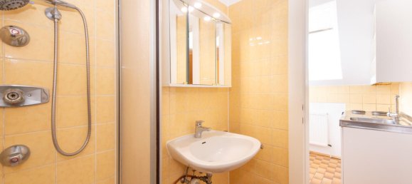 392m² Commercial property in Frauental an der Lassnitz, Austria No. 132908 9