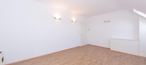 392m² Commercial property in Frauental an der Lassnitz, Austria No. 132908 13