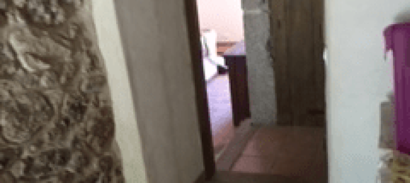 5 bedrooms Commercial property in Largeasse, France No. 1893 28