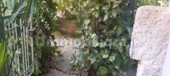 2 bedrooms Apartment in Rosignano Marittimo, Italy No. 278312 42