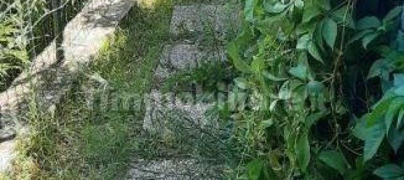 2 bedrooms Apartment in Rosignano Marittimo, Italy No. 278312 2