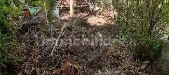 2 bedrooms Apartment in Rosignano Marittimo, Italy No. 278312 39