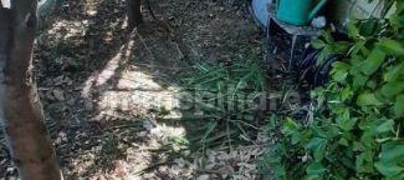 2 bedrooms Apartment in Rosignano Marittimo, Italy No. 278312 37