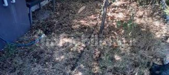 2 bedrooms Apartment in Rosignano Marittimo, Italy No. 278312 36