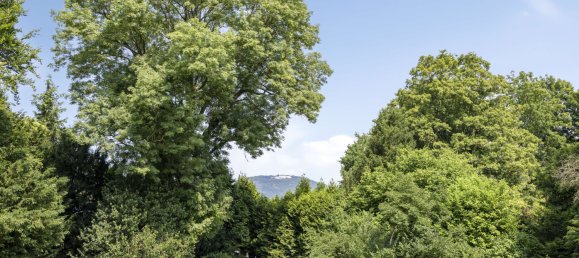 5 chambres Villa à Bonn, Germany No. 321530 10