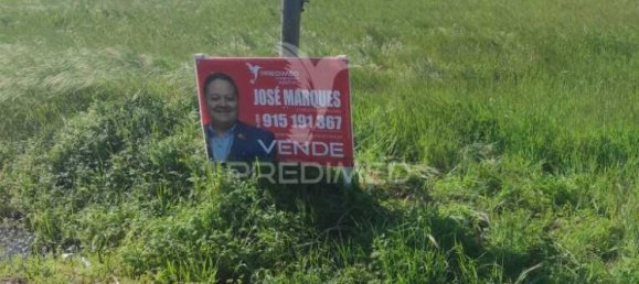 Земельный участок 6950м² в Мойта, Португалия № 76659 10