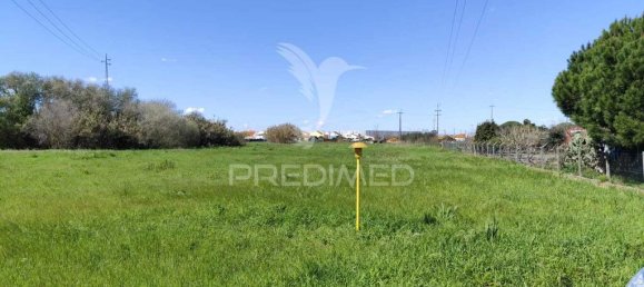 Земельный участок 6950м² в Мойта, Португалия № 76659 11