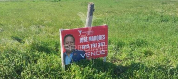 Земельный участок 6950м² в Мойта, Португалия № 76659 4