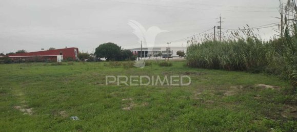 Земельный участок 6950м² в Мойта, Португалия № 76659 5