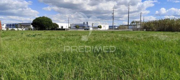 Земельный участок 6950м² в Мойта, Португалия № 76659 14