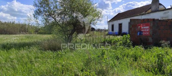 Земельный участок 6950м² в Мойта, Португалия № 76659 13