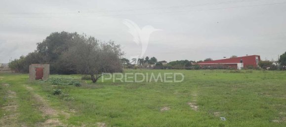 Земельный участок 6950м² в Мойта, Португалия № 76659 9