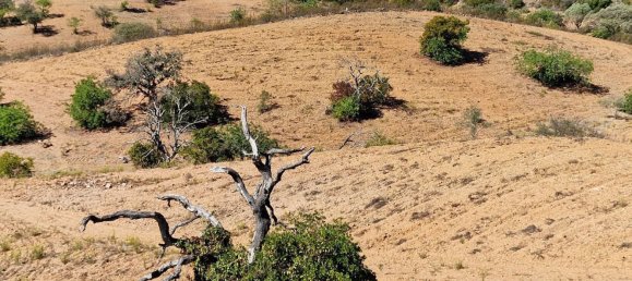 2 Schlafzimmer Haus in Santa Catarina da Fonte do Bispo, Portugal, Nr. 62402 18