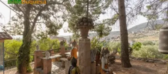 6 bedrooms House in Granada, Spain No. 153450 4