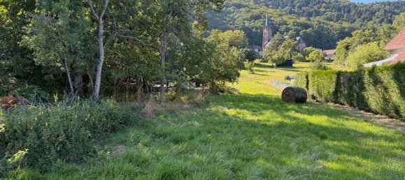  Land in Reinhardsmunster, France No. 328530 3