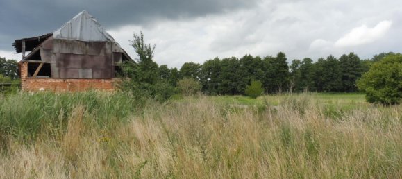 Casa T3 em Wittenberg, Germany N.º 315866 9