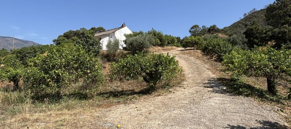 Terrain à Estepona, Spain 13391m² No. 147719 22