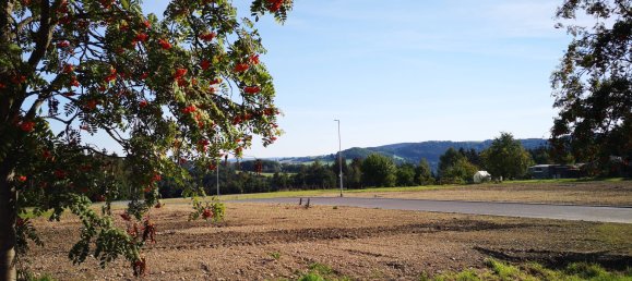 4-Zimmer Bungalow in Vogtlandkreis, Germany, Nr. 55274 3