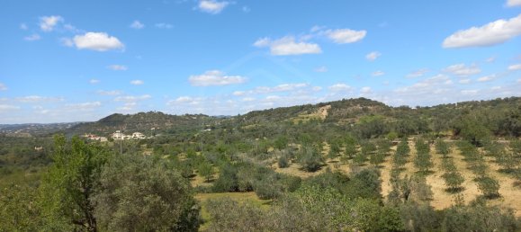 Grundstück in Faro, Portugal 11160m², Nr. 58771 10