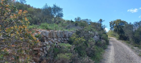 Grundstück in Faro, Portugal 11160m², Nr. 58771 17