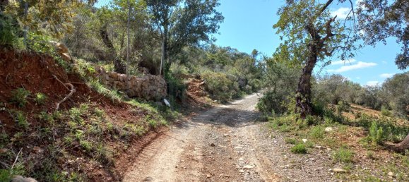 Grundstück in Faro, Portugal 11160m², Nr. 58771 18