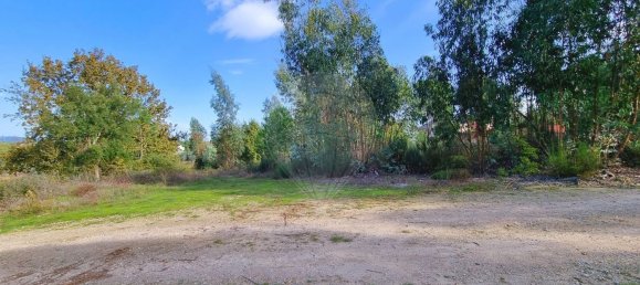  Land in Canas de Santa Maria, Portugal No. 190392 5