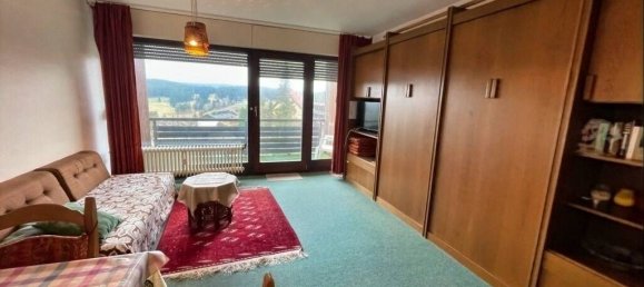 1 Schlafzimmer Wohnung in Schwarzwald-Baar-Kreis, Germany, Nr. 328035 4