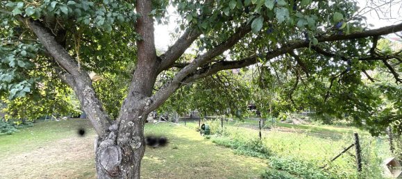 Granja de 4 dormitorios en Schwalm-Eder, Germany No. 140214 4