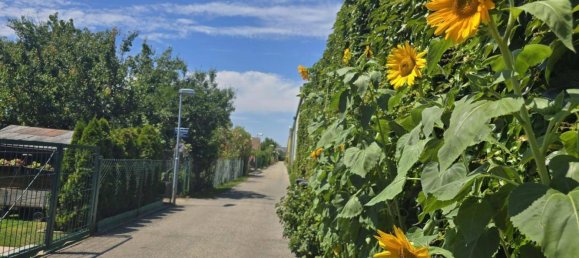 3 rooms House in St. Andra-Wordern, Austria No. 149282 12