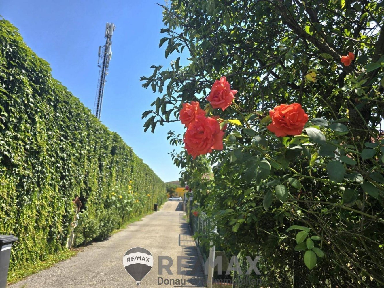 3-salle Maison à St. Andra-Wordern, Austria No. 149282