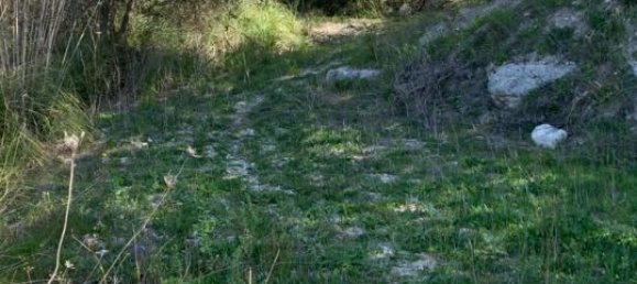 Terrain à Modica, Italy 16174m² No. 230870 2